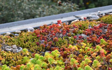 the cost of Tote Hill green roof installation