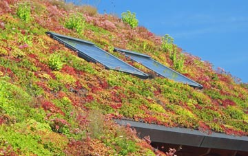 Tote Hill living roof systems
