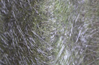 Tote Hill fibreglass roof work